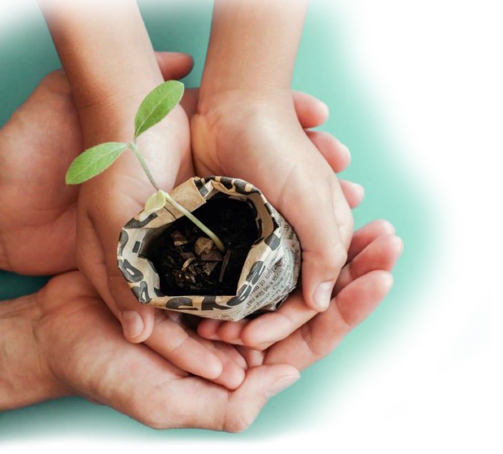 Main d'enfant découvrant la nature, éveil sensoriel en micro-crèche